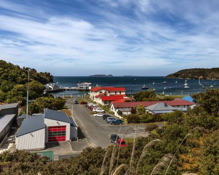 Visit Stewart Island