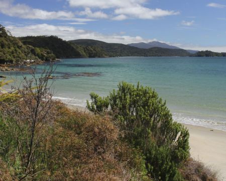 Great Walk Rakiura Stewart Island