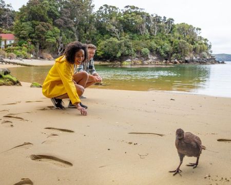 Explore Stewart Island